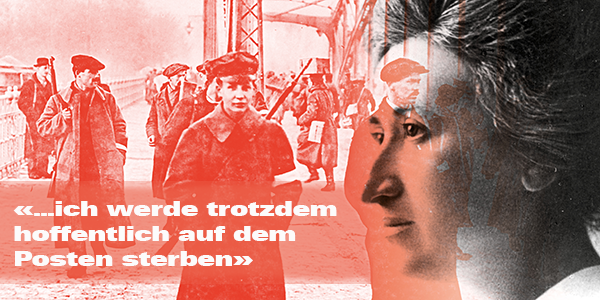 Rosa Luxemburg in der deutschen Revolution — die täglich aktualisierte Chronik