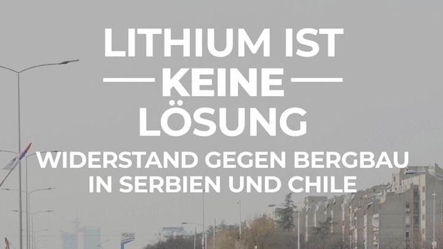 Lithium ist keine Lösung!