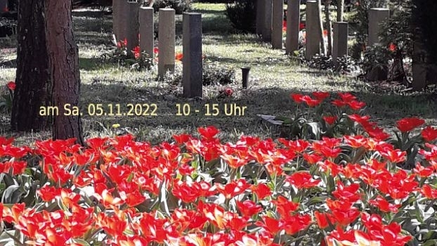 Tulpemzwiebeln stecken in Gedenken an die Opfer des Faschismus