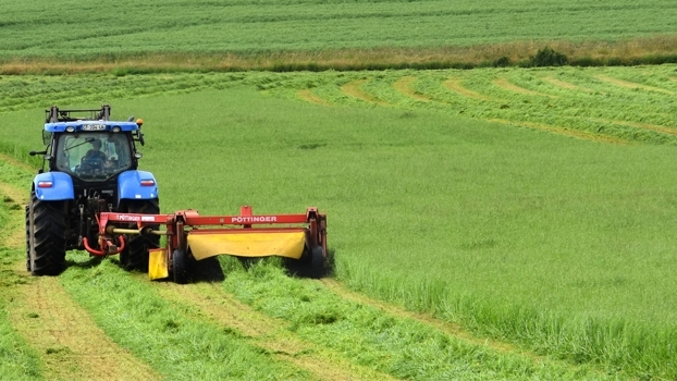 Gentechnik in der Landwirtschaft