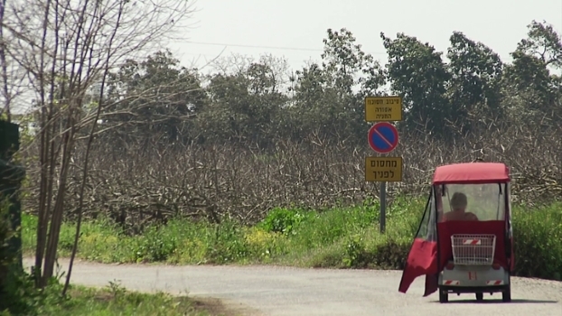 Erhobenen Hauptes: (Über)Leben im Kibbuz Ma’abarot