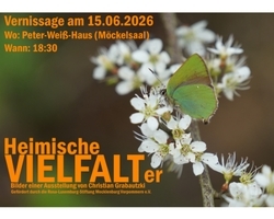 Ausstellung "Heimische VIELFALTer"
