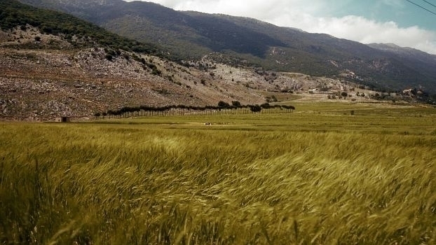 The Struggle for Food is the Struggle for Freedom