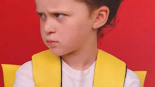 Krisenbuch Schule – ein System am Limit