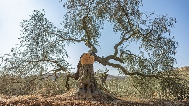 Online Launch: Weaponizing Hunger