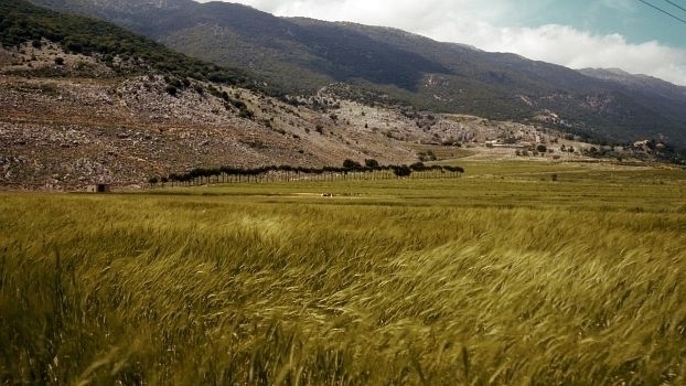 «Der Kampf um Nahrung ist der Kampf um Freiheit»
