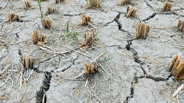 Zur Rolle der Ressource Wasser in Konflikten