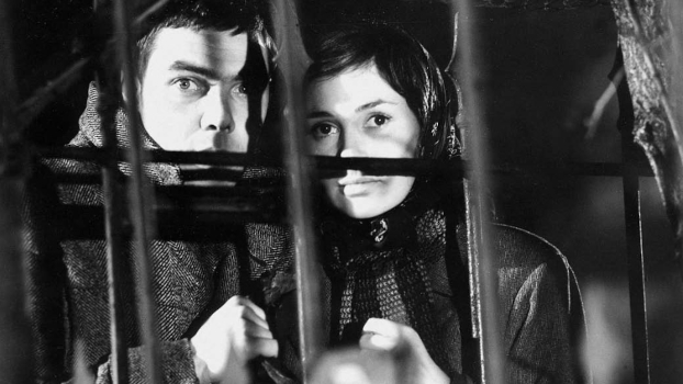 «Die Bilder des Zeugen Schattmann» | Der Freitagabend