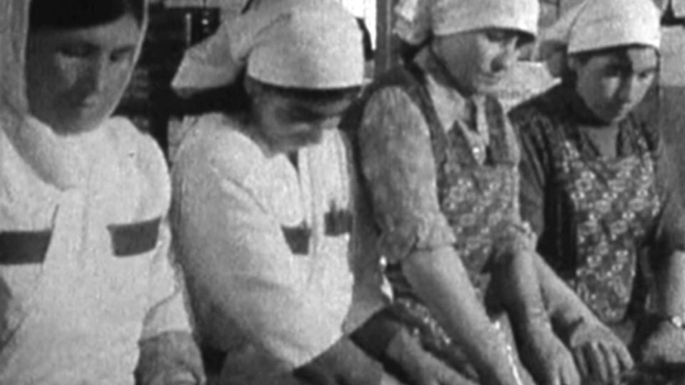 «Billige Hände» – Migrantische Arbeiterinnen und ihre Kämpfe