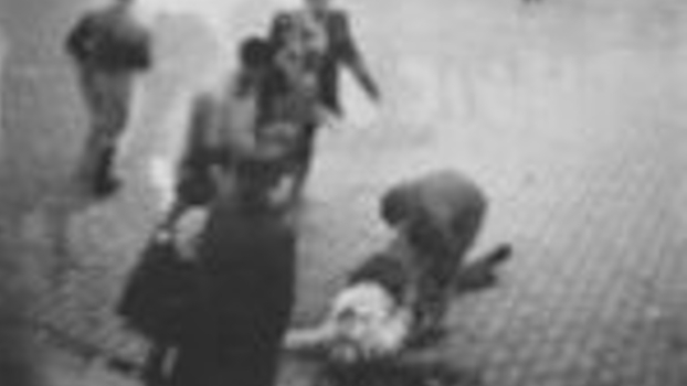 Der Tod eines Holocaust-Überlebenden bei einer Polizei-Razzia in Stuttgart