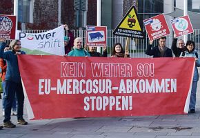 EU-Mercosur: Keine Win-Win-Situation für Wirtschaft und Umwelt