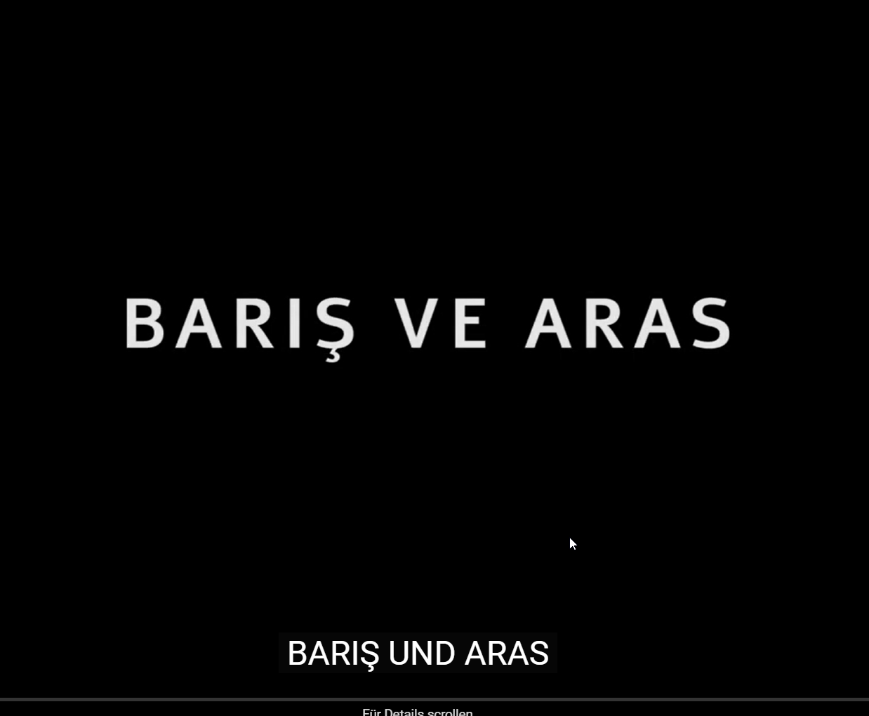 Barıs und Aras - Geschichte eines LGBTQI*-Paares im Exil
