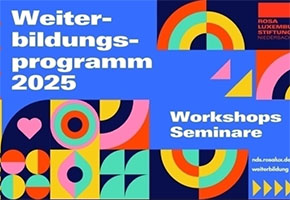 Online-Workshop-Reihe