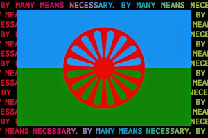 Roma* Power – 500 Jahre Widerstand gegen Antiziganismus
