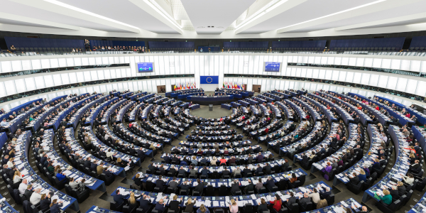 Vom 6. bis 9. Juni wird in der EU das 10. Europäische Parlament gewählt.